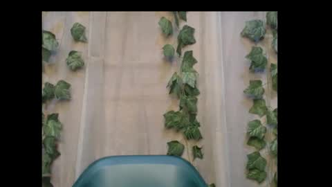 Snapshot of dripqueenx chatting on 10.31.25 linda online show from 10.31.25