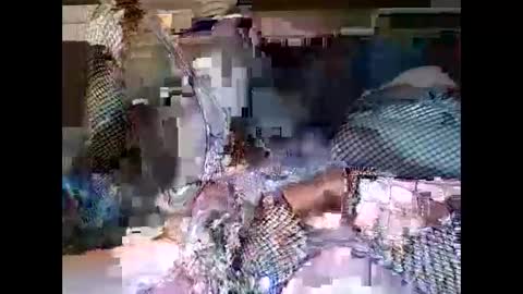 driver187 online show from 12.19.24