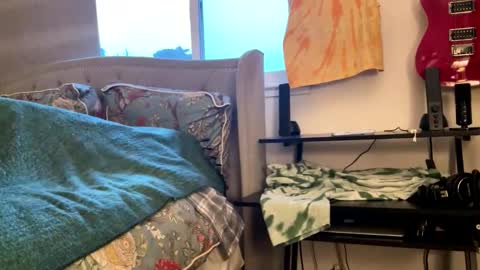 driving_perfectly online show from 03.04.26