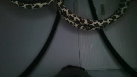 Snapshot of drolyts chatting on 02.25.26 drolyts online show from 02.25.26