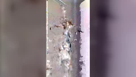 drvv24 online show from 04.03.26