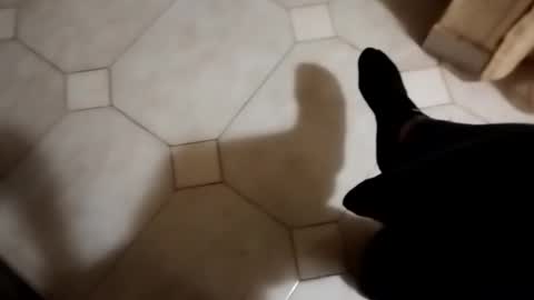 dthedog12 online show from 10.22.25