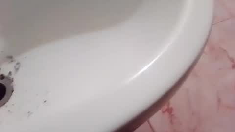 dthedog12 online show from 11.22.25