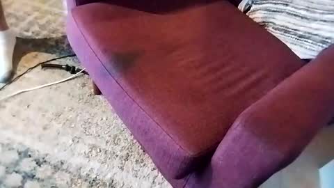 Snapshot of dtrain6969420 chatting on 03.07.25 dtrain6969420 online show from 03.07.25