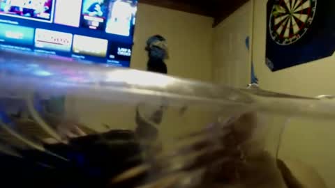 Snapshot of dtrain6969420 chatting on 09.25.25 dtrain6969420 online show from 09.25.25