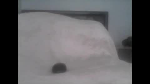 Snapshot of dudek0 chatting on 11.01.25 dudek0 online show from 11.01.25