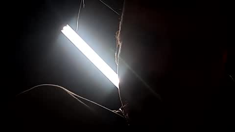 dukester36 online show from 04.24.26