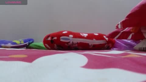 dulce online show from 11.24.25