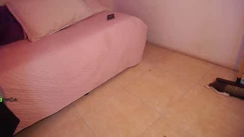 Snapshot of dulcerose01 chatting on 02.27.25 Dulce Rose online show from 02.27.25