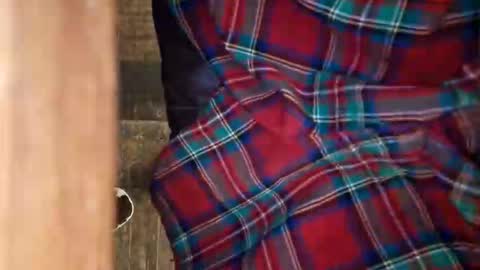 dVe1oPe online show from 04.11.26