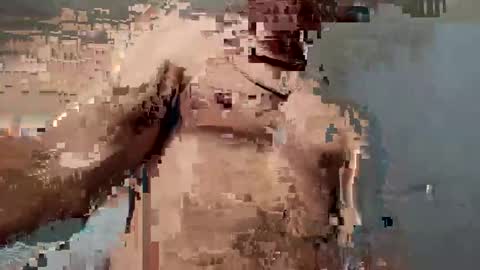 dvsshoes12 online show from 10.12.25