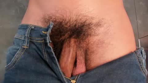 Dylan online show from 01.05.26