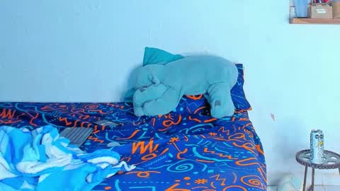 Snapshot of dylan_jake1 chatting on 02.20.26 Dylan online show from 02.20.26