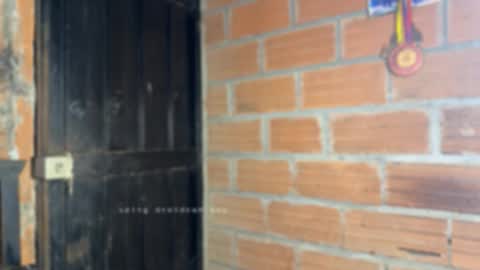 Dylangusss online show from 01.15.26