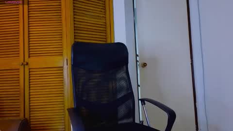 D Y L A N online show from 01.18.26