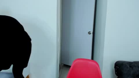 Dylan Taylor online show from 10.05.25