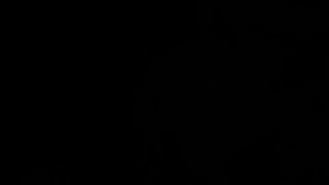 ---DYLAN--- online show from 03.11.25