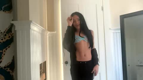 Dynasty online show from 11.17.25