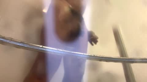 Snapshot of easternjerk chatting on 10.20.25 easternjerk online show from 10.20.25