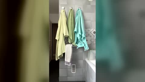 French Guy online show from 04.15.26