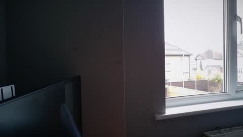 Nadia Ferreira  online show from 03.17.26