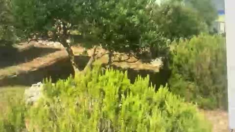 Snapshot of ebnk15 chatting on 09.30.25 ebnk15 online show from 09.30.25