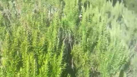 Snapshot of ebnk15 chatting on 10.21.25 ebnk15 online show from 10.21.25