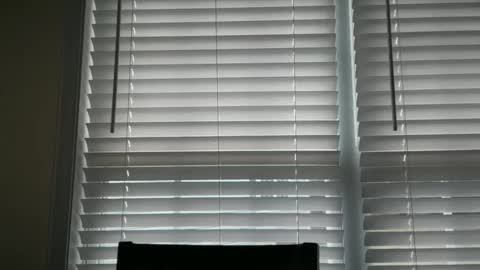 americnbarbie online show from 10.29.25