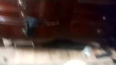 eboy4sale online show from 03.01.25