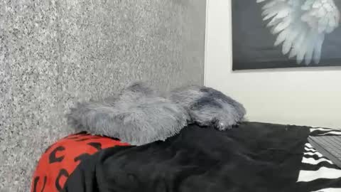 Snapshot of edi_stwix18 chatting on 01.13.26 edi_stwix18 online show from 01.13.26