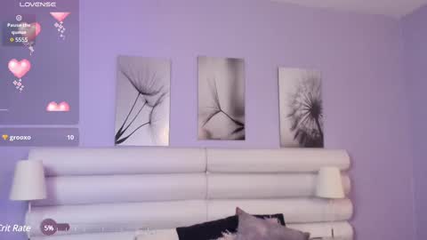    online show from 02.11.25