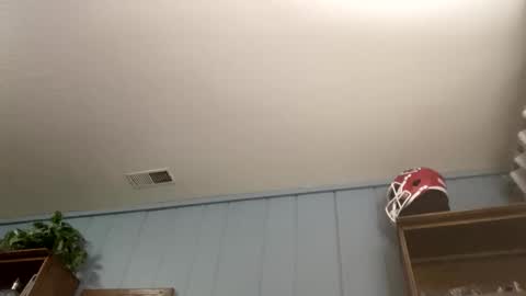 PiedPiper online show from 04.05.26