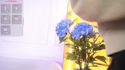 Elasummeer online show from 11.19.25