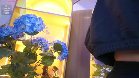 Elasummeer online show from 12.17.25