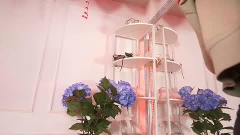 Elasummeer online show from 02.14.26