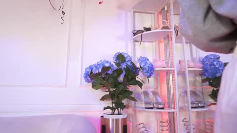 Elasummeer online show from 02.19.26