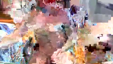 Snapshot of elbasca chatting on 02.18.26 elbasca online show from 02.18.26