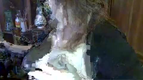 ElenaZed online show from 10.06.25