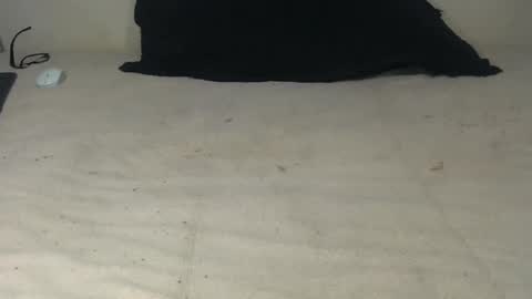 Snapshot of elgsslt chatting on 10.20.25 elgsslt online show from 10.20.25