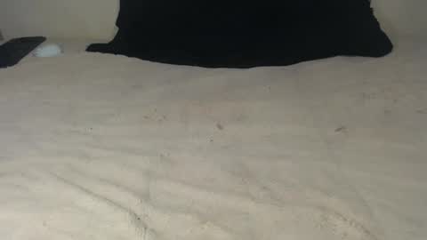 Snapshot of elgsslt chatting on 10.21.25 elgsslt online show from 10.21.25