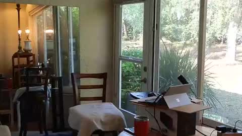 eliberator online show from 12.21.25