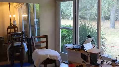 eliberator online show from 01.07.26