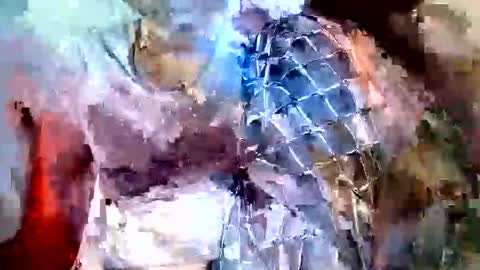 elina_roy03 online show from 11.06.25