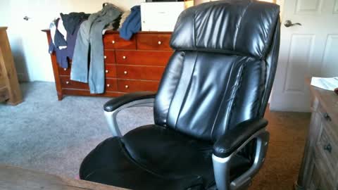 Elk online show from 10.05.25