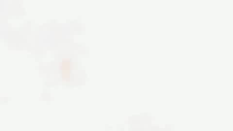 SINGLE PO online show from 03.05.26