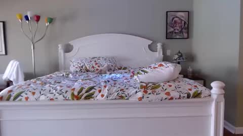 ellalowe online show from 03.18.26