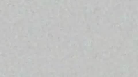 elle_hadid online show from 06.26.26