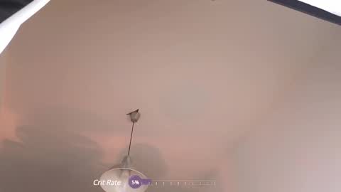 elliefrost online show from 02.12.25