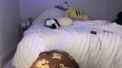 ellie online show from 02.25.26