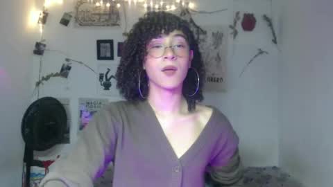  . online show from 02.11.26